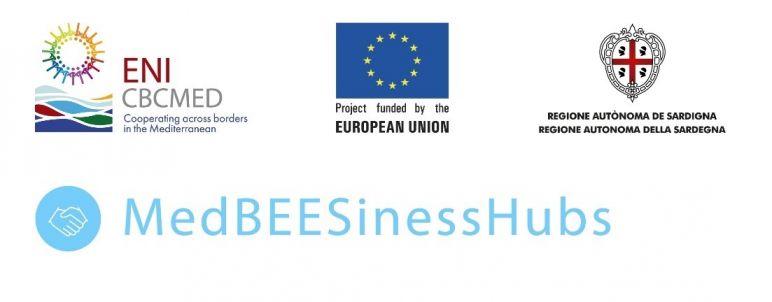 Mediterranean Bee Hubs